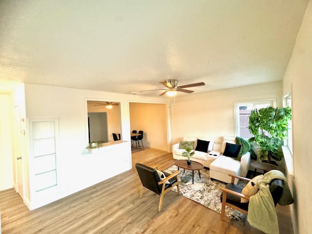 living room with ceiling fan, light hardwood / wood-style floors, and a textured ceiling