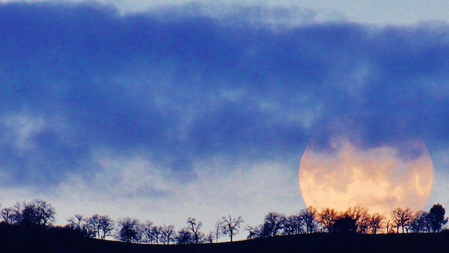 view of nature at dusk