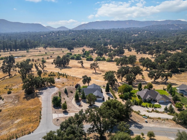 aerial view with a rural view and a mountain view