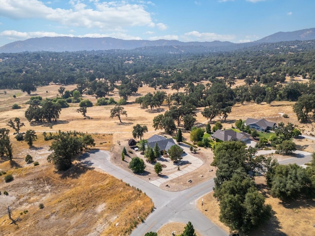 aerial view with a mountain view