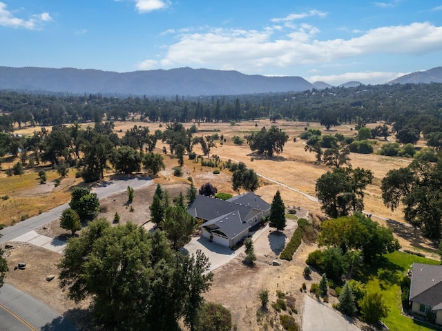 birds eye view of property with a mountain view and a rural view