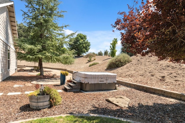 view of yard with a hot tub