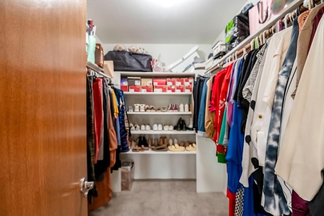 walk in closet with carpet flooring