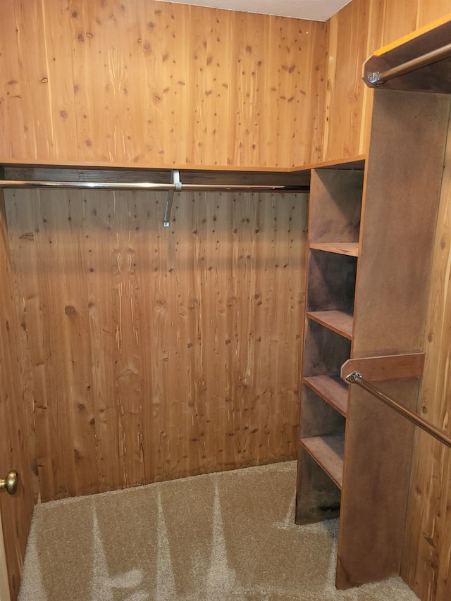 spacious closet with carpet floors