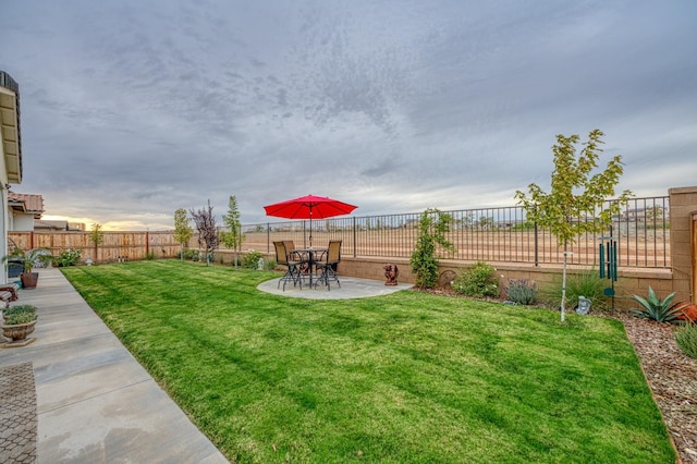 view of yard featuring a patio area