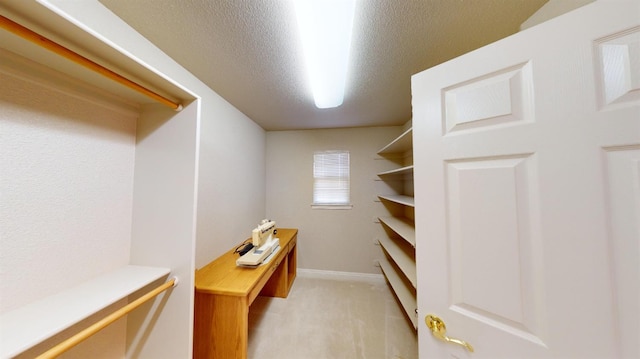 spacious closet featuring light carpet