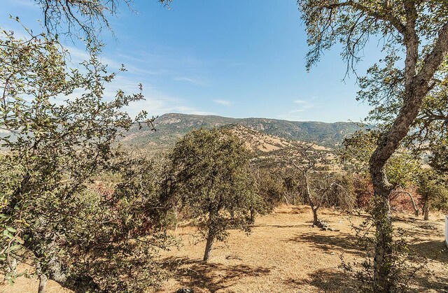 view of mountain feature