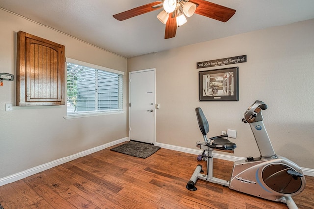 exercise area with light hardwood / wood-style floors and ceiling fan