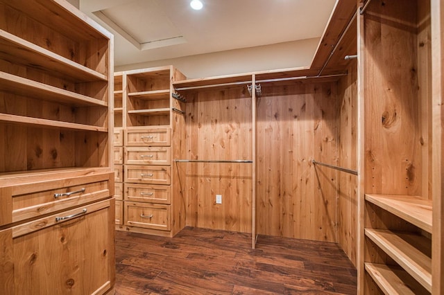 spacious closet with dark hardwood / wood-style floors