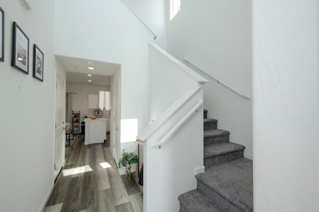 staircase featuring a towering ceiling and hardwood / wood-style flooring