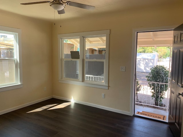 foyer with ceiling fan and dark hardwood / wood-style floors