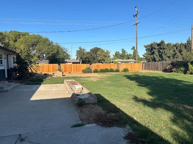 view of yard with a patio area