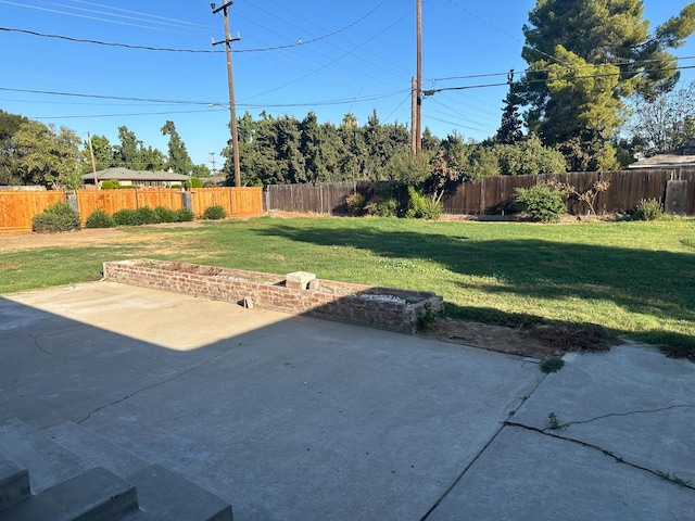 view of yard with a patio area