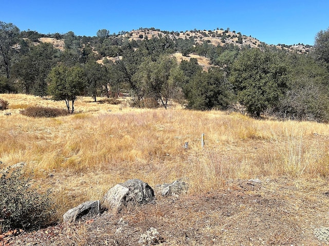 0 Tioga Dr, Coarsegold CA, 93614 land for sale