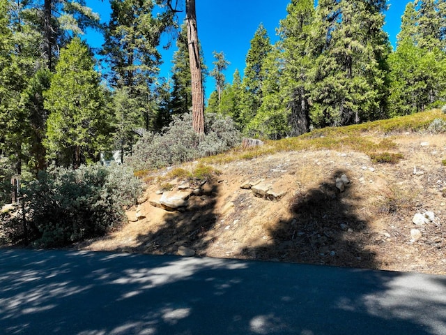 Listing photo 3 for 40518 Wild Rose Ln, Shaver Lake CA 93664