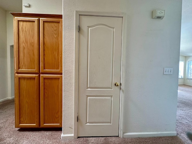 interior details featuring carpet flooring