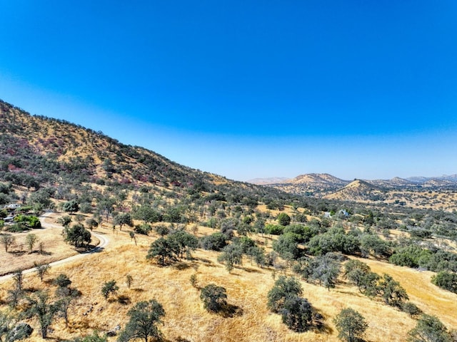 view of mountain feature