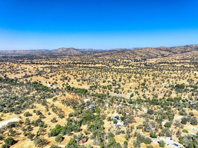 bird's eye view featuring a mountain view