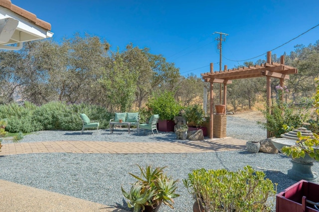 view of yard featuring a pergola and a patio area