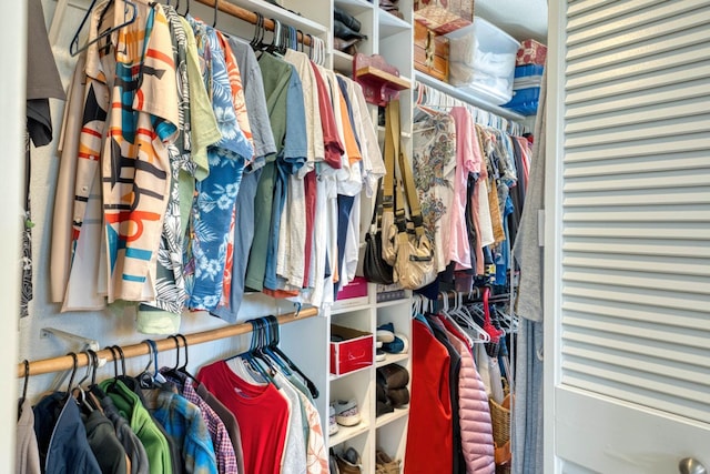 view of spacious closet