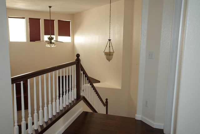 stairway with ceiling fan and hardwood / wood-style flooring