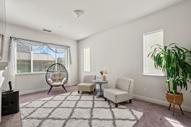 living area featuring carpet flooring