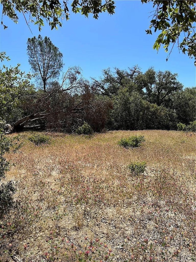 4994 Whitmore Dr, Mariposa CA, 95338 land for sale