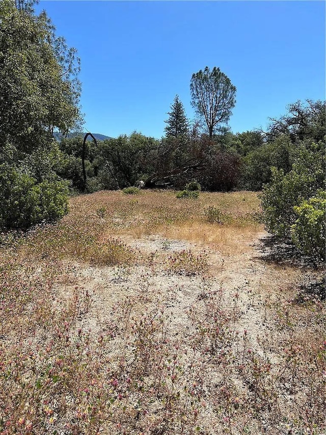 Listing photo 3 for 4994 Whitmore Dr, Mariposa CA 95338