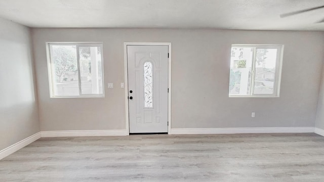 entrance foyer featuring light wood-type flooring