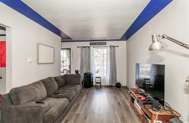 living room featuring a textured ceiling and hardwood / wood-style floors