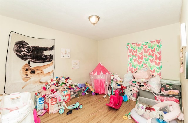 playroom featuring wood-type flooring