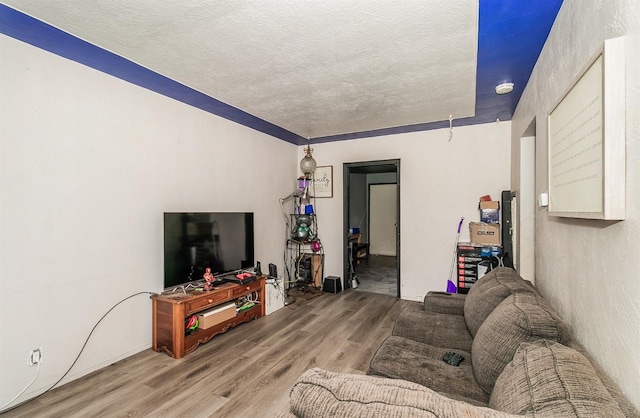 living room featuring hardwood / wood-style flooring and a textured ceiling