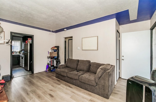 living room with a textured ceiling and light hardwood / wood-style flooring