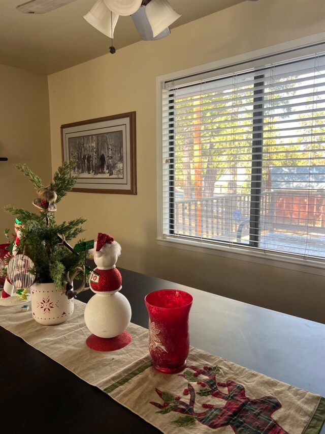 dining space featuring ceiling fan and a healthy amount of sunlight