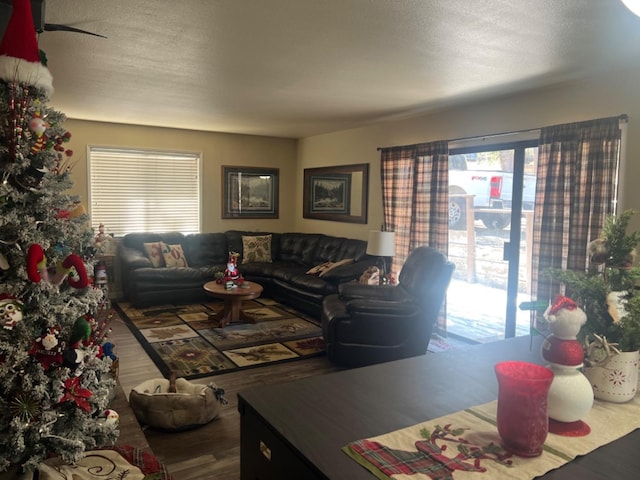 41823 Corlew Ln, Auberry, CA 93602 - photo 37