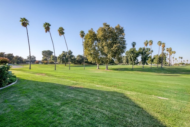 surrounding community featuring a yard