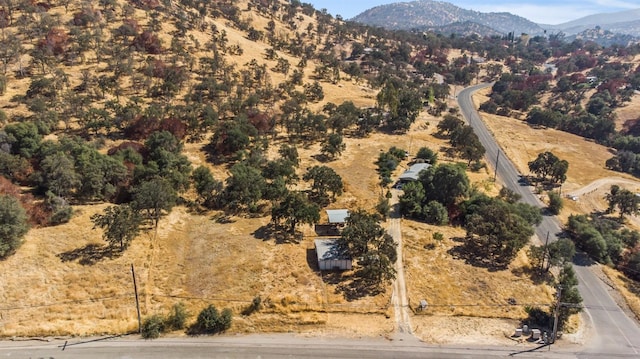 birds eye view of property featuring a mountain view