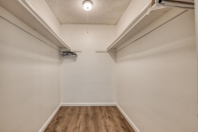 walk in closet featuring dark wood-style flooring