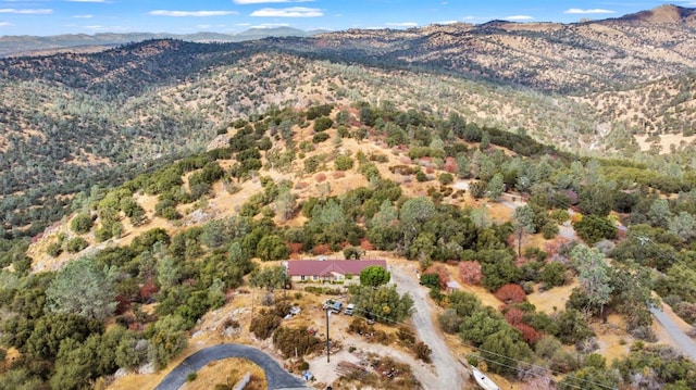 drone / aerial view featuring a mountain view