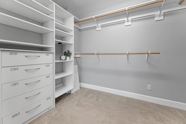 spacious closet with light carpet