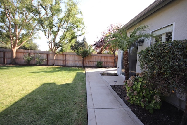 view of yard featuring a patio