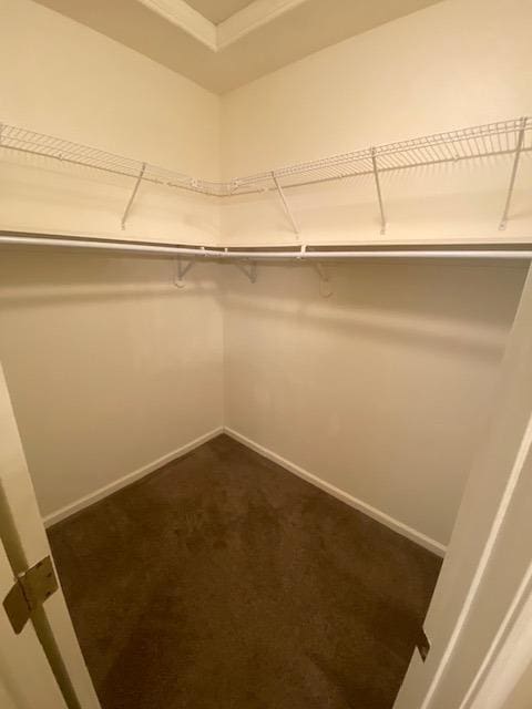 spacious closet featuring dark colored carpet