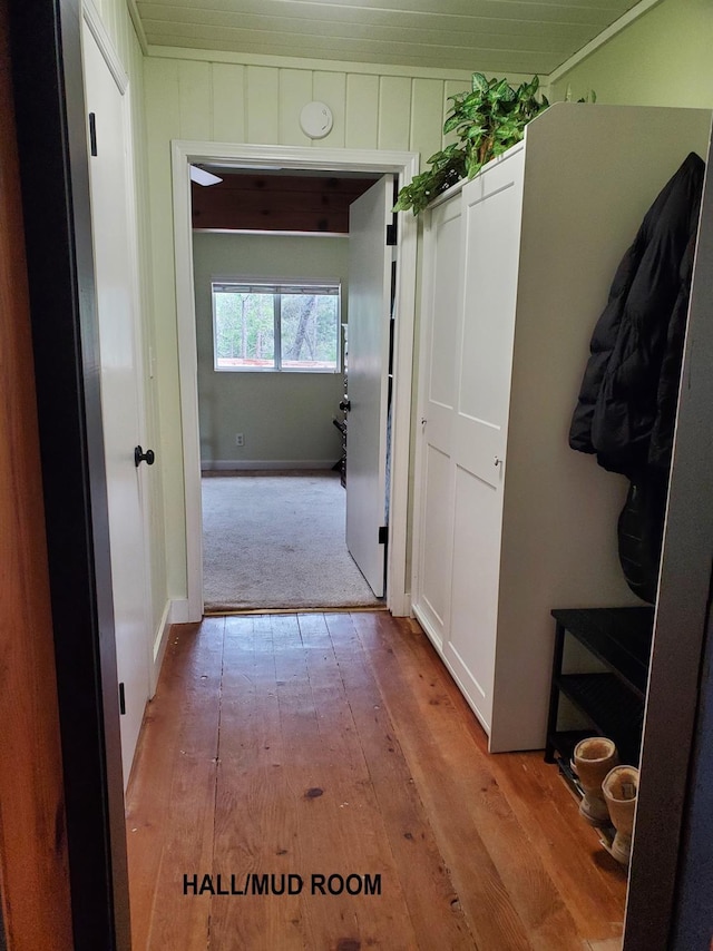 hall featuring light hardwood / wood-style floors