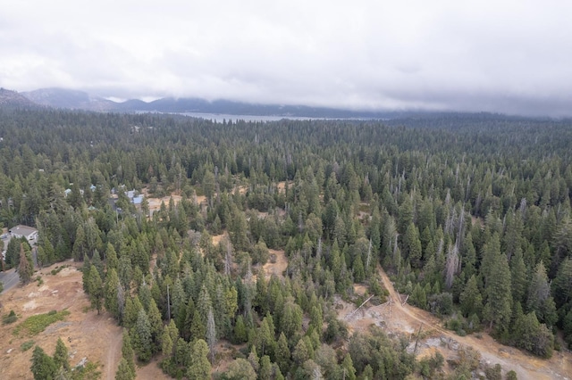 drone / aerial view with a mountain view