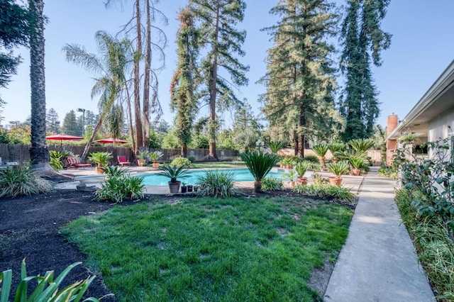 view of yard featuring a fenced in pool