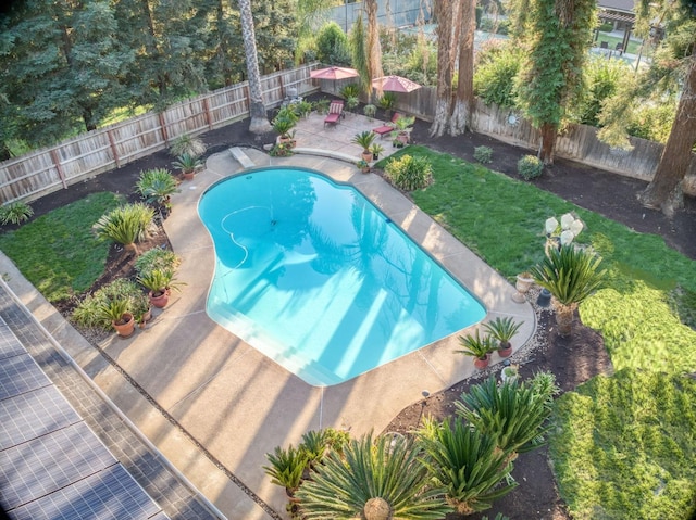 view of pool with a patio