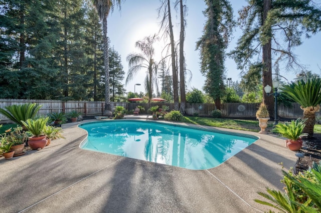 view of swimming pool with a patio area