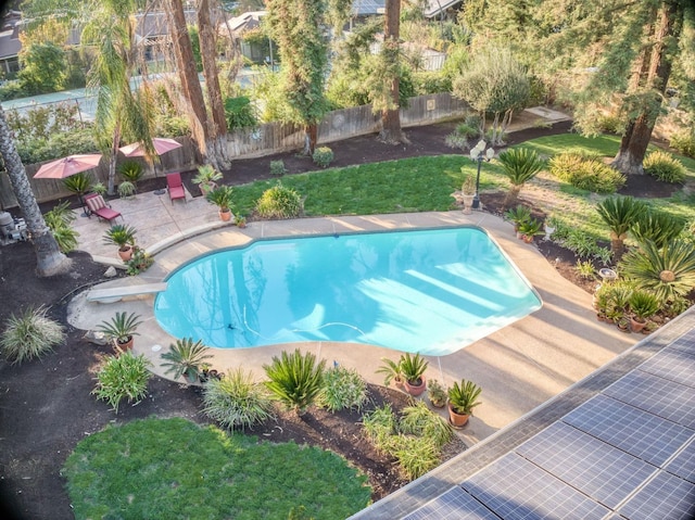 view of swimming pool with a diving board and a patio