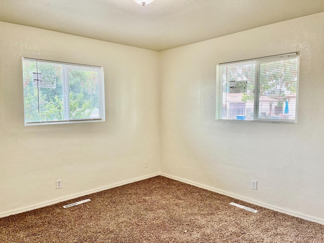 empty room featuring carpet flooring and a healthy amount of sunlight