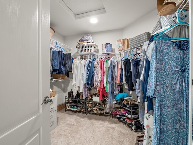 walk in closet featuring carpet floors